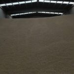 Gallery - Wheat Grain - Aver Sourcing - International Sourcing and Trading Agency