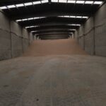 Gallery - Wheat Grain - Aver Sourcing - International Sourcing and Trading Agency