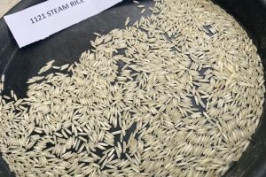 Basmati Rice - Aver Sourcing - Turkiye's Finest Products and Services Sourcing Agency