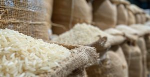 Basmati Rice - Aver Sourcing - Turkiye's Finest Products and Services Sourcing Agency